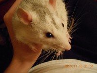 /album/fotogaleria/g-8-jpg/